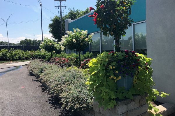 landscaping outside commercial building